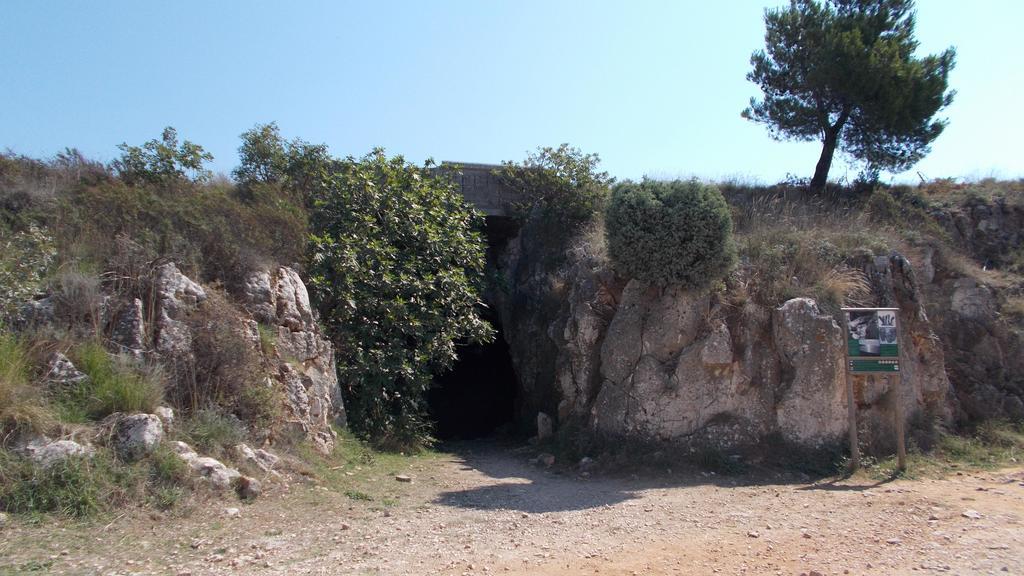 Guest House Accommodation Rupine Premantura Extérieur photo