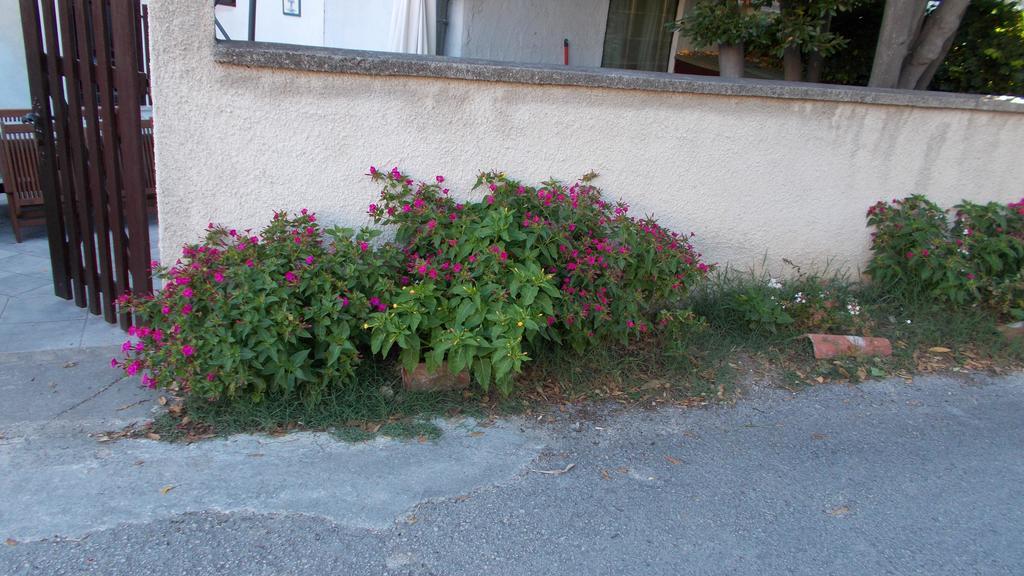 Guest House Accommodation Rupine Premantura Extérieur photo